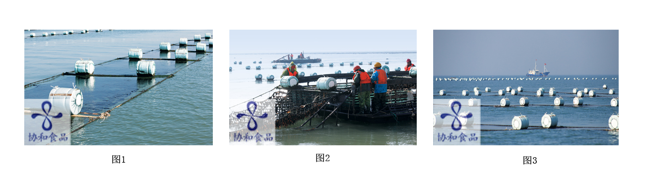 海上養(yǎng)殖.jpg